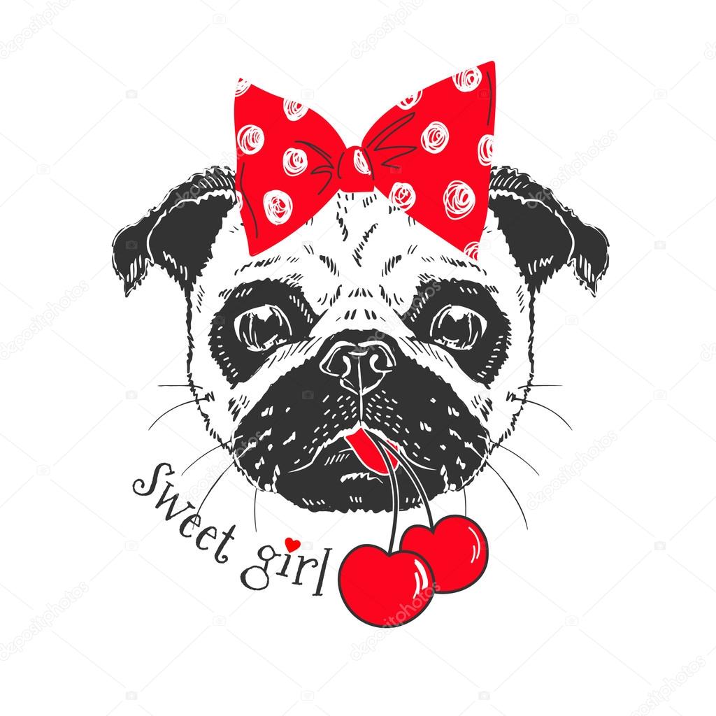 Pug doggy girl with cherries and bow