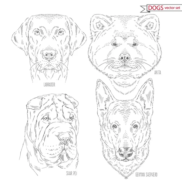 Animaux ensemble de chiens — Image vectorielle