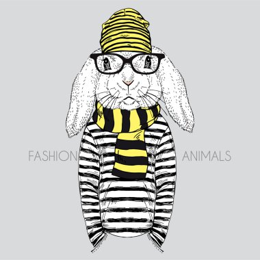 moda bunny hipster