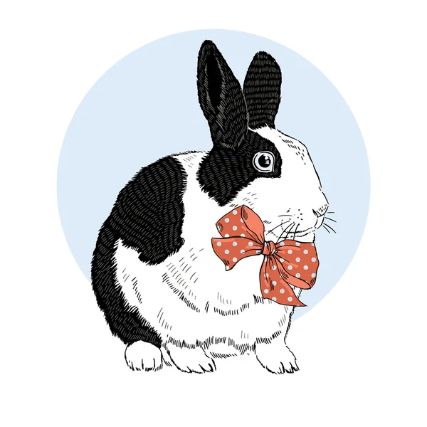 Mignon lapin noir et blanc — Image vectorielle