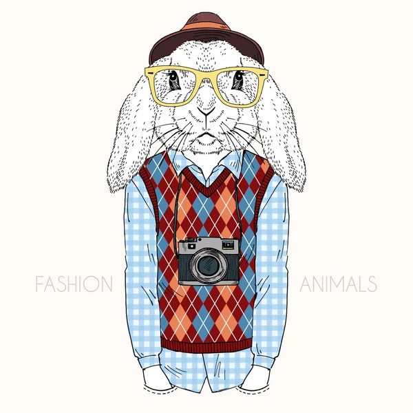 Bunny hipster med kamera — Stock vektor