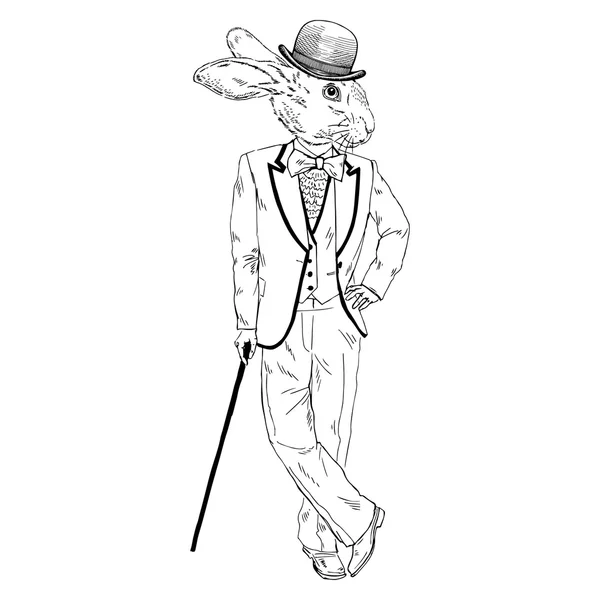 Kanin klädd i retrostil — Stock vektor