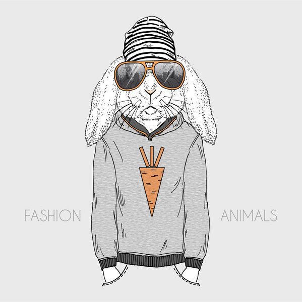 кролик в спортивном городском стиле
