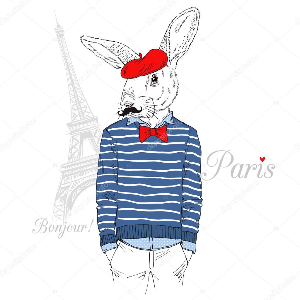 rabbit in french chic style
