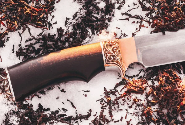 Ножевая Ручка Снегу Сушеными Чайными Листьями — стоковое фото