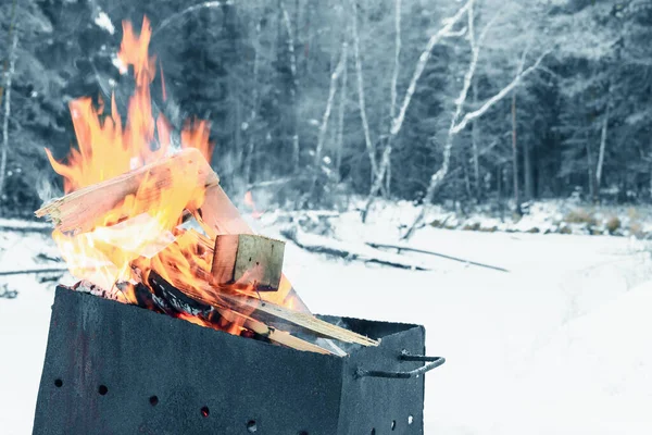 Brazier Con Legna Ardere Nella Foresta Taiga Cucinare Barbecue Concetto — Foto Stock