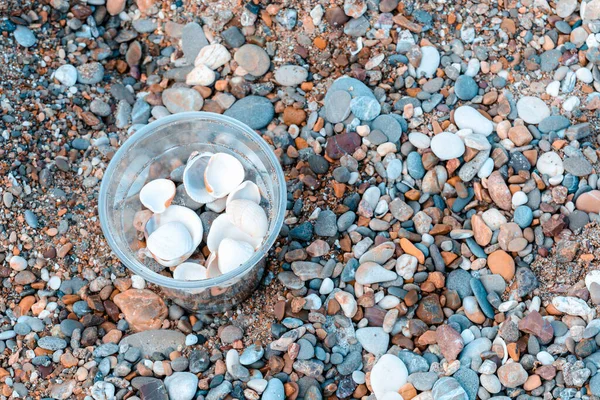 Zeeschelpen Plastic Beker Aan Kust — Stockfoto