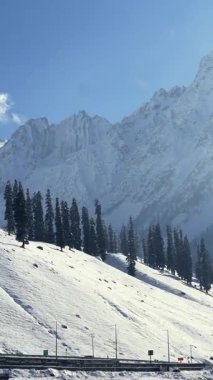 Kaşmir Karlı Dağ manzarası Sonsuza dek yeşil ağaçlar ve yollar