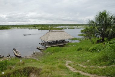 Public pier of Padre Cocha village,  Peruvian Amazon. clipart