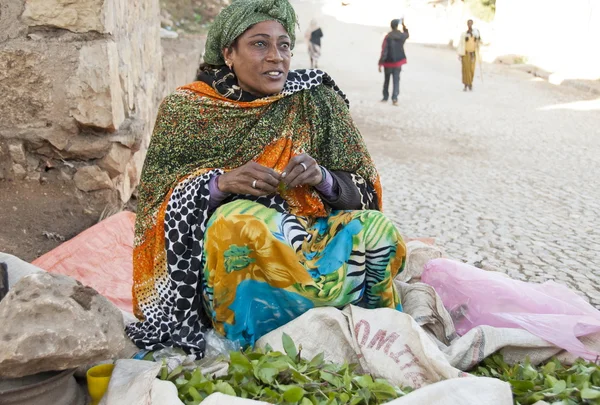 Kobieta sprzedaje khat na ulicy, Harar, Etiopia — Zdjęcie stockowe