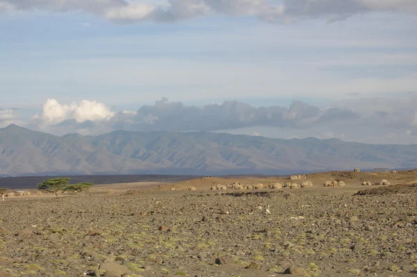 Powierzchnia pustyni w pobliżu jeziora Turkana w Kenii. — Zdjęcie stockowe