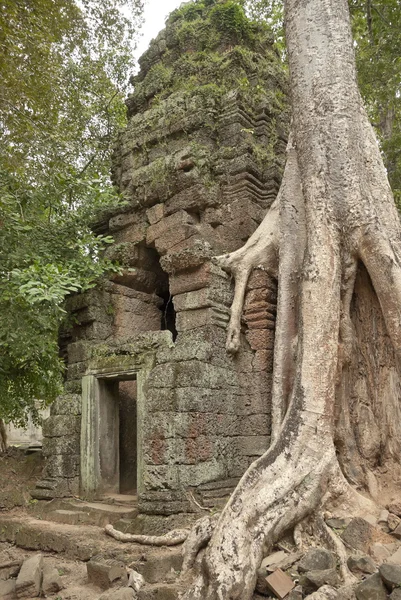 Ruins of ancient Hindu temple in Angkor Wat, Cambodia. — Stock Photo, Image