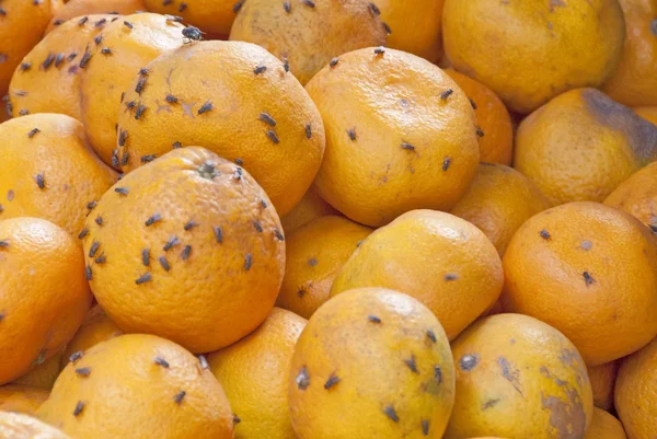 在 Mui Ne，越南市场的烂橘子. 图库图片