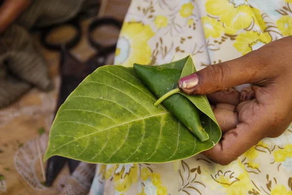 Paan prepared of betel leaf combined with areca or tobacco. — Stock Photo, Image
