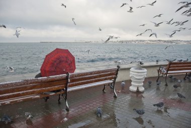 kış deniz Sivastopol, Kırım, Ukrayna.