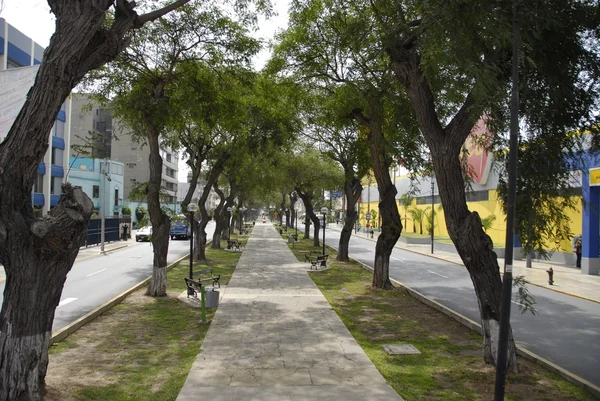 Avenida Arequipa em Juliaca, Peru . — Fotografia de Stock