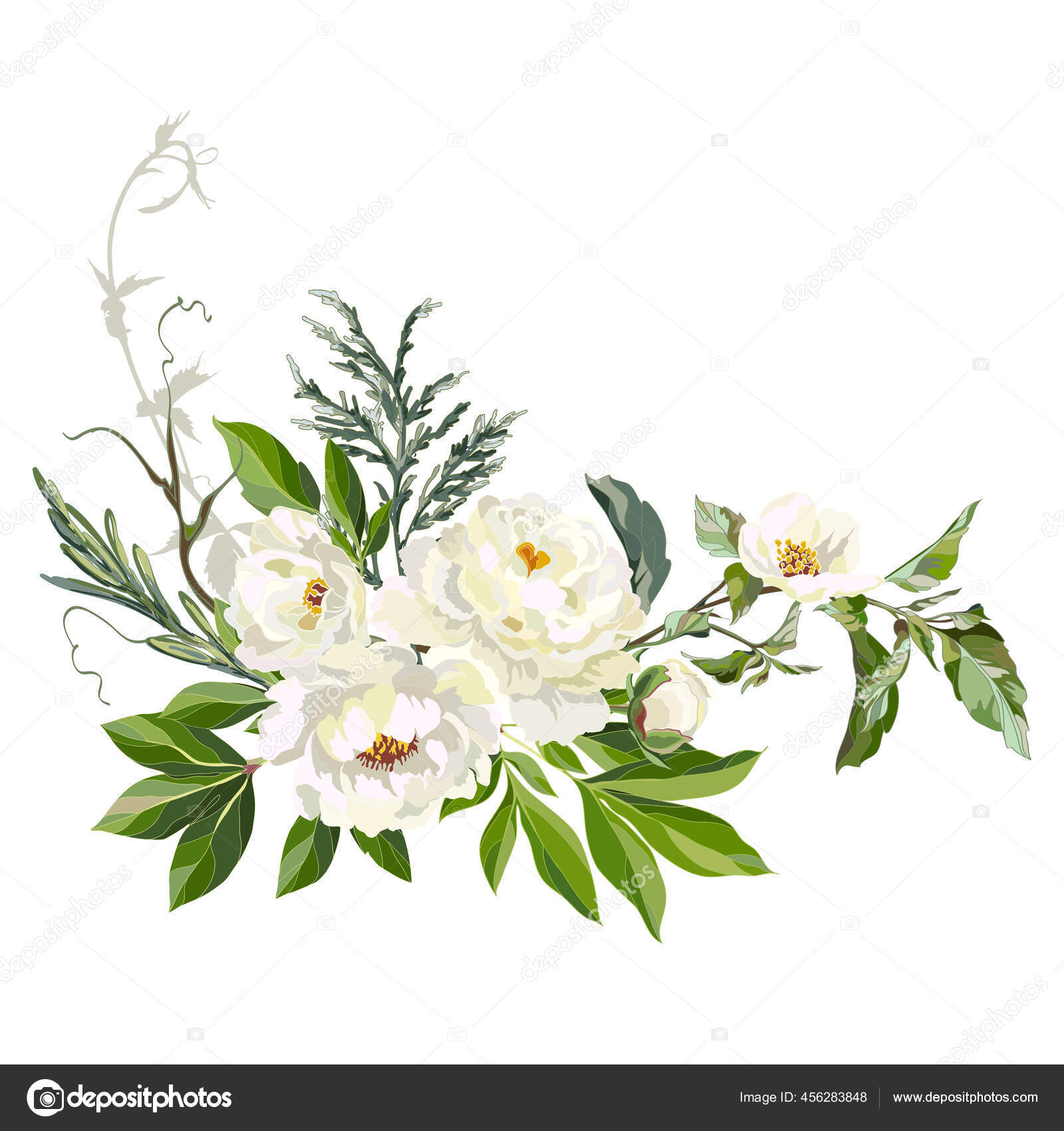 装飾的な白い牡丹と野生の草 グリーティングカードを作成するためのデザイン要素 ベクターイラスト ストックベクター C Vasimila