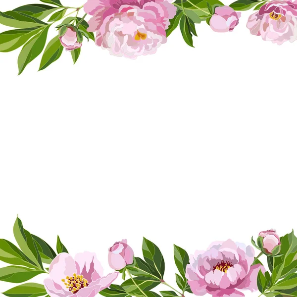 Красивый Фон Розовыми Пионами Вокруг Цветочная Композиция Дизайна Поздравительных Открыток — стоковый вектор