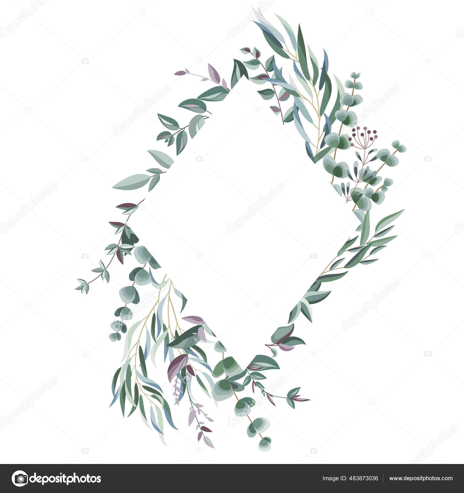 ユーカリの枝 果実や草からの菱形のフレーム 招待状やグリーティングカードの基本背景 ベクターイラスト ストックベクター C Vasimila