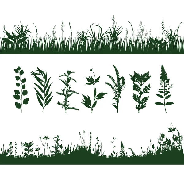 Siluetas hierba — Archivo Imágenes Vectoriales