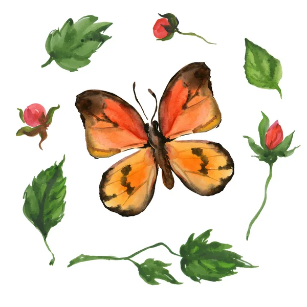 Orange Schmetterling und Blumen — Stockvektor