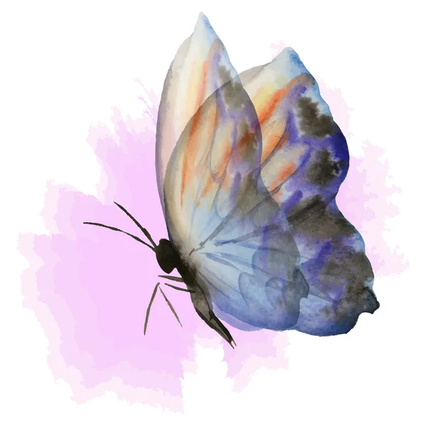 Голубая бабочка на розовом — стоковый вектор