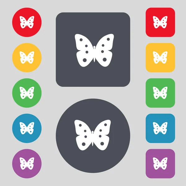 Pillangó aláírás ikonra. rovar szimbólum. Állítsa be a színes gombok. vektor — Stock Vector
