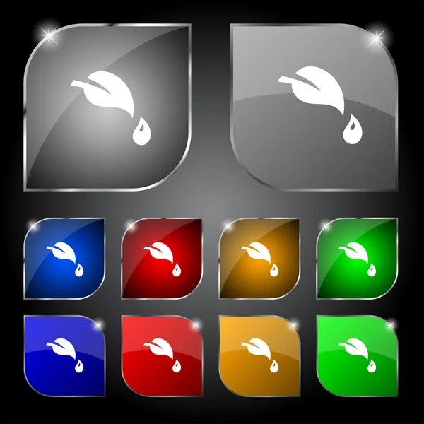 Leaf tecken ikon. färska naturprodukt symbol. Ange färgglada knappar. vektor — Stock vektor