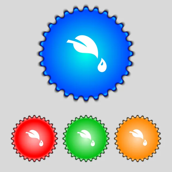 Leaf sign icon. Fresh natural product symbol. Set colourful buttons. Vector — Stock Vector