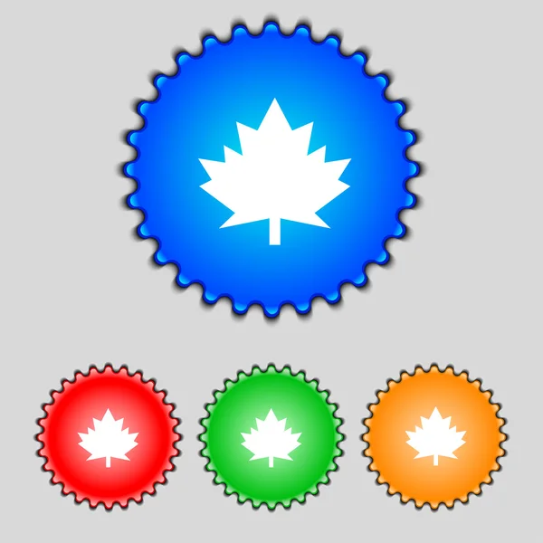 Maple leaf pictogram. kleurrijke knoppen instellen vector — Stockvector