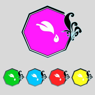 yaprak işareti simgesi. taze doğal ürün simgesi. renkli düğmeler ayarlayın. vektör