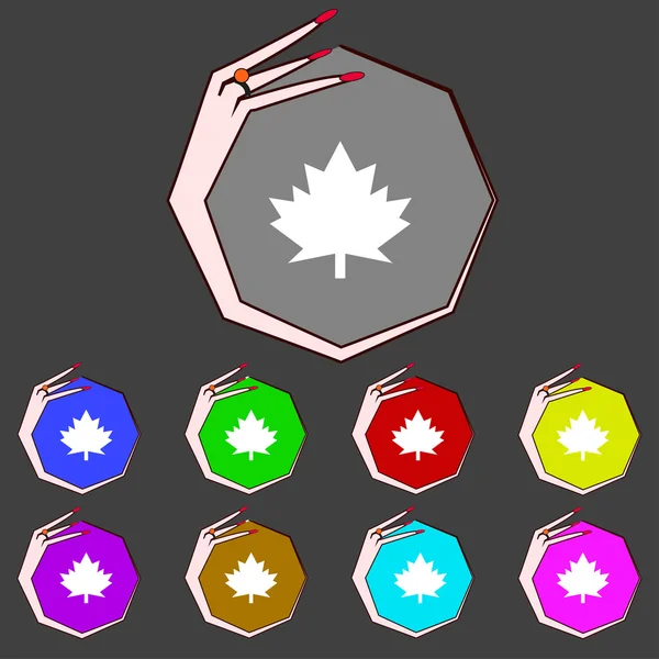 Maple leaf icon. Set colourful buttons. Vector — Stock Vector