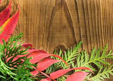 Ahşap arka planda güzel sonbahar kompozisyonu