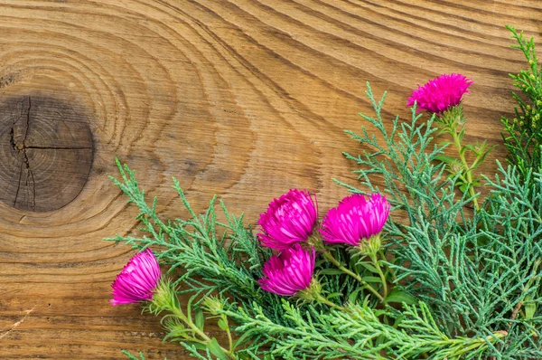 Hermosa composición de otoño sobre fondo de madera — Foto de Stock