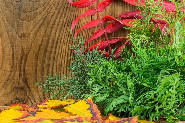 Hermosa composición de otoño sobre fondo de madera — Foto de Stock