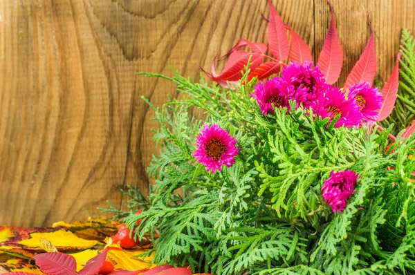 Bella composizione autunnale su sfondo di legno — Foto Stock