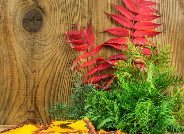 Piękna jesienna kompozycja na drewnianym tle — Zdjęcie stockowe