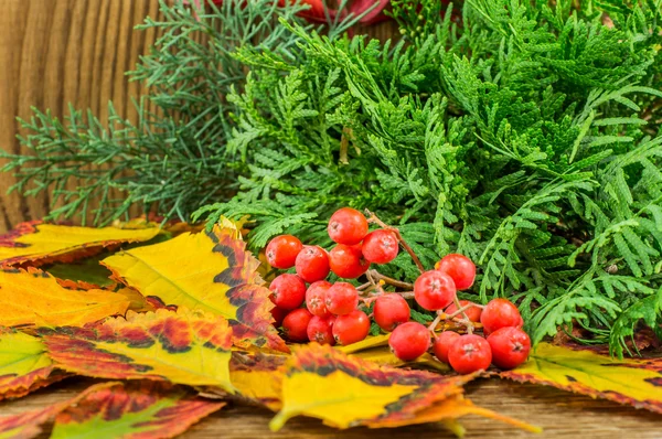 Hermosa composición de otoño sobre fondo de madera — Foto de Stock