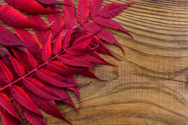 Hermosa composición de otoño sobre fondo de madera — Foto de Stock