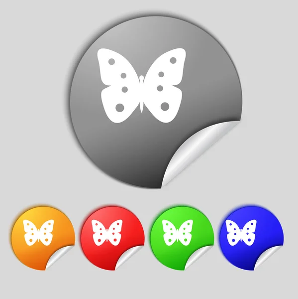 Vlinder teken pictogram. insect symbool. Set kleurrijke knoppen. — Stockfoto