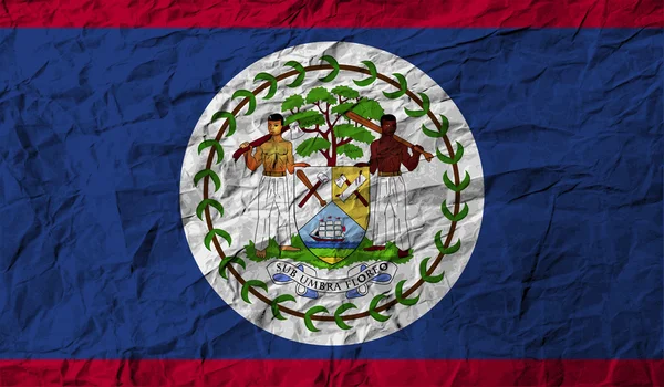 Vlag van Belize met oude textuur. Vector — Stockvector