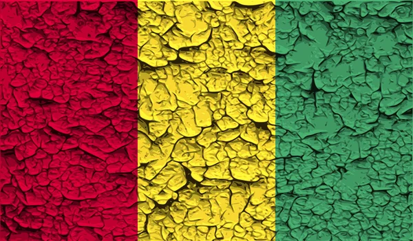 Bandeira da Guiné com textura antiga. Vetor — Vetor de Stock