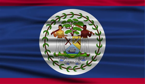 Vlag van Belize met oude textuur. Vector — Stockvector