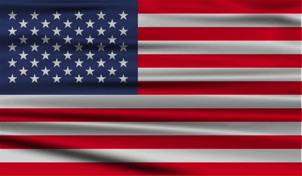 Förenta staternas flagga — Stock vektor