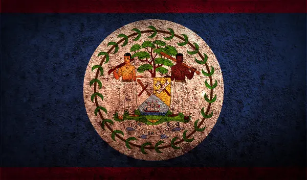 古いテクスチャとベリーズの国旗. — ストックベクタ