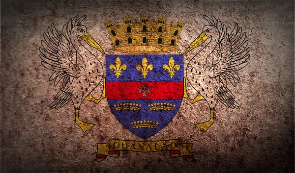Vlag van saint barthelemy — Stockvector