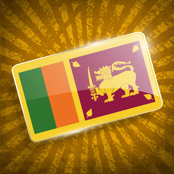 Flag of Sri Lanka with old texture. Vector — Stock Vector