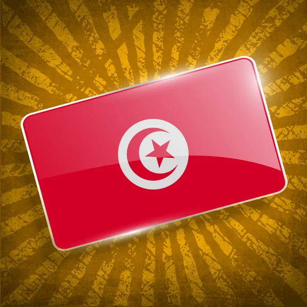 Tuniská vlajka se starým texturou. Vektor — Stockový vektor