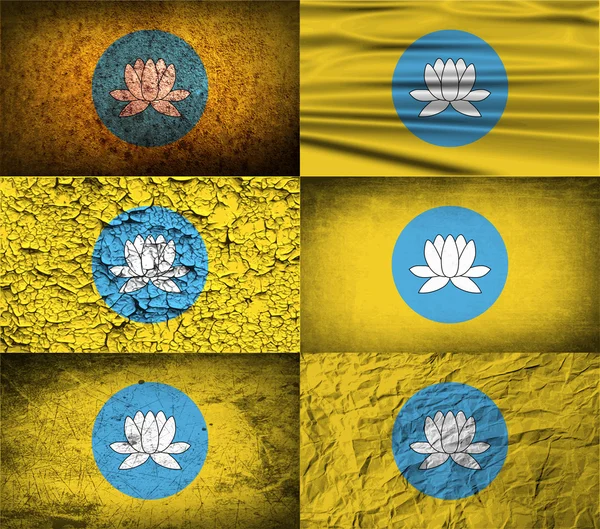 Bandera de Kalmykia Republic, Rusia con textura antigua. Vector 2023