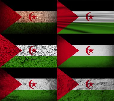 Batı Sahra bayrağı eski doku ile. Vektör